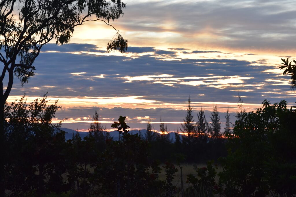 Outback Australia, Atherton Tablelands Cairns Eco tourism wildlife birds, horses, holiday house bush retreat sunrise
